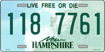 NH license plate 1187761