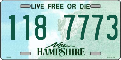 NH license plate 1187773
