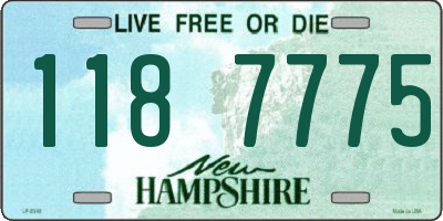 NH license plate 1187775