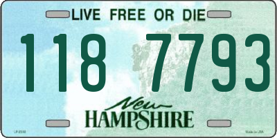 NH license plate 1187793