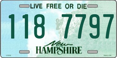 NH license plate 1187797