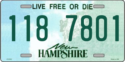 NH license plate 1187801