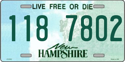 NH license plate 1187802