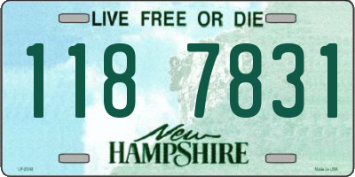 NH license plate 1187831