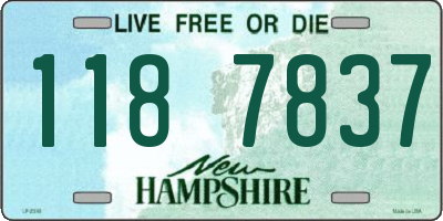 NH license plate 1187837
