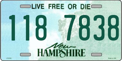 NH license plate 1187838