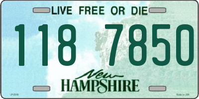 NH license plate 1187850