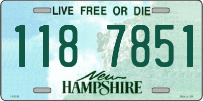 NH license plate 1187851