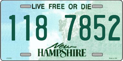 NH license plate 1187852