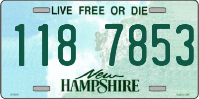 NH license plate 1187853