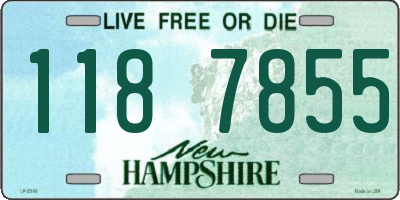 NH license plate 1187855
