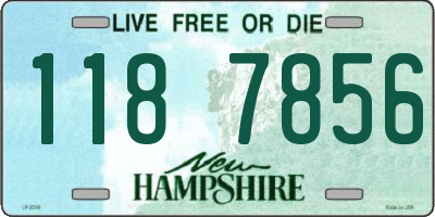 NH license plate 1187856