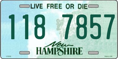 NH license plate 1187857