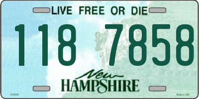 NH license plate 1187858