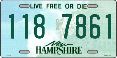 NH license plate 1187861