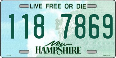 NH license plate 1187869