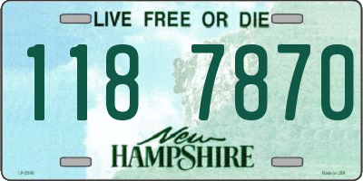 NH license plate 1187870