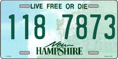 NH license plate 1187873