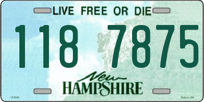 NH license plate 1187875