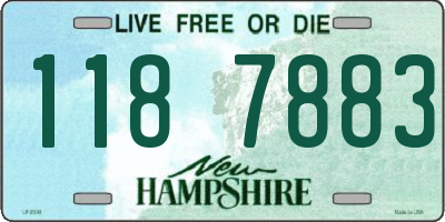 NH license plate 1187883