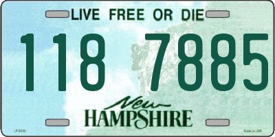 NH license plate 1187885