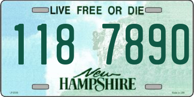 NH license plate 1187890