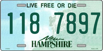 NH license plate 1187897