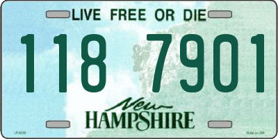 NH license plate 1187901