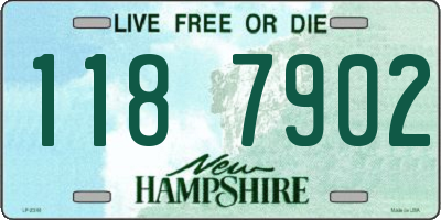 NH license plate 1187902