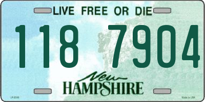 NH license plate 1187904