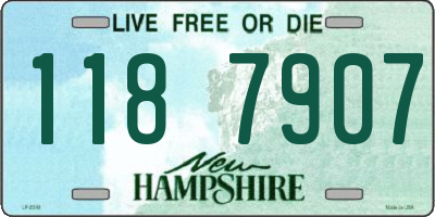 NH license plate 1187907