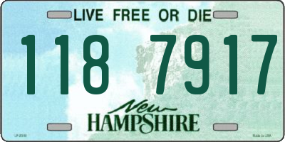 NH license plate 1187917