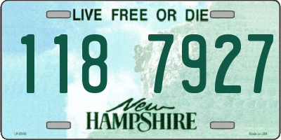 NH license plate 1187927