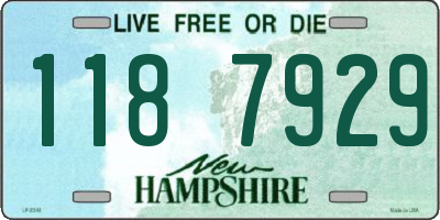 NH license plate 1187929