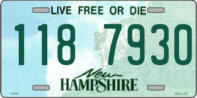 NH license plate 1187930
