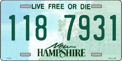 NH license plate 1187931