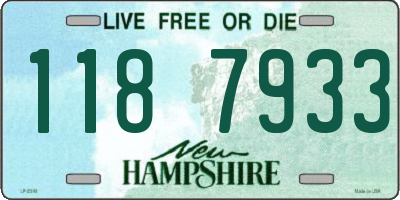 NH license plate 1187933