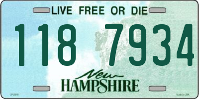 NH license plate 1187934