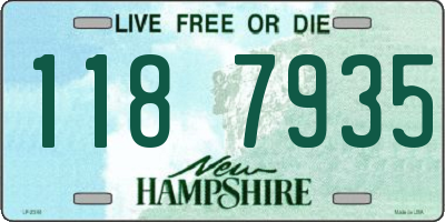 NH license plate 1187935