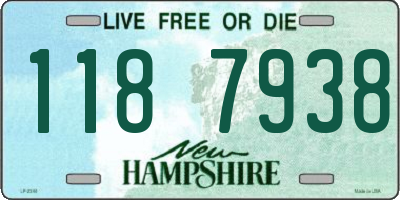 NH license plate 1187938