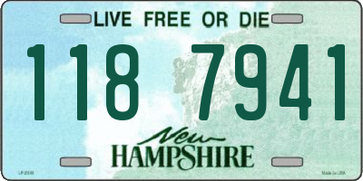 NH license plate 1187941