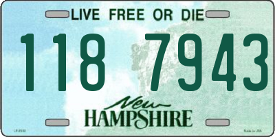 NH license plate 1187943