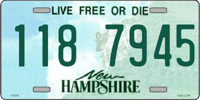 NH license plate 1187945