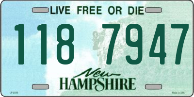 NH license plate 1187947