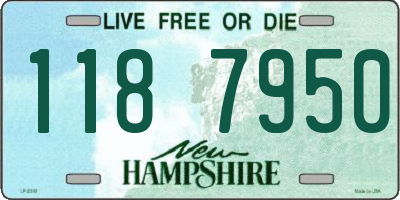 NH license plate 1187950