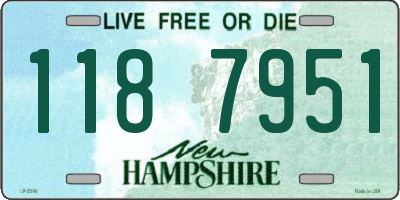 NH license plate 1187951