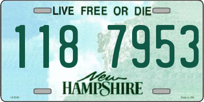NH license plate 1187953