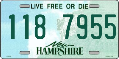 NH license plate 1187955