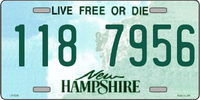 NH license plate 1187956