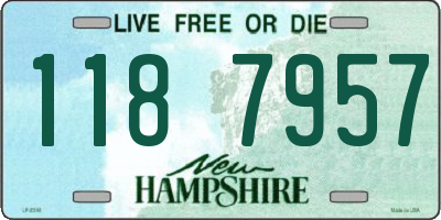 NH license plate 1187957